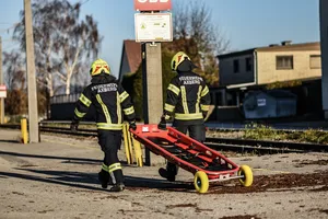 img_51541